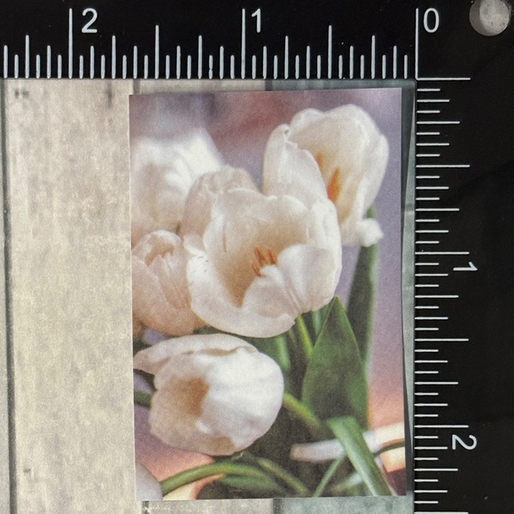 ๐10/$10๐ White Dream Reusable Washi Sticker Decal - Picture 1 of 1